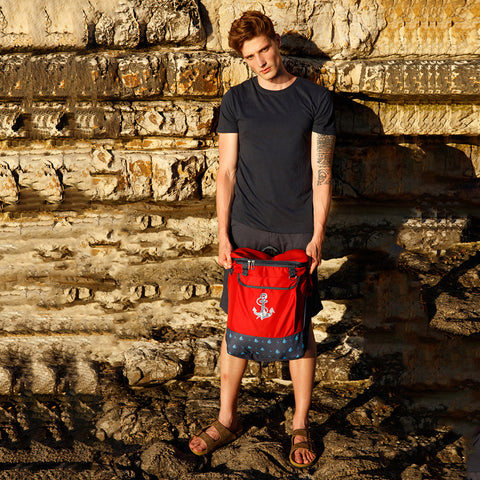 Anemoss Insulated Backpack