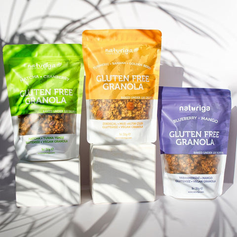 Naturiga Gluten Free Granola / Blueberry & Mango (250 Gr)