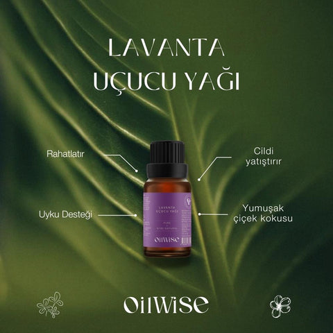 Oilwise Lavender Oil 10 ml