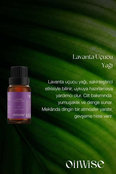 Oilwise Lavender Oil 10 ml