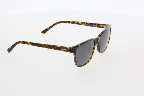 Hawk 2143 02 Men's Sunglasses